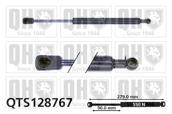 QUINTON HAZELL Gaasivedru, pagasi-/veoruum QTS128767